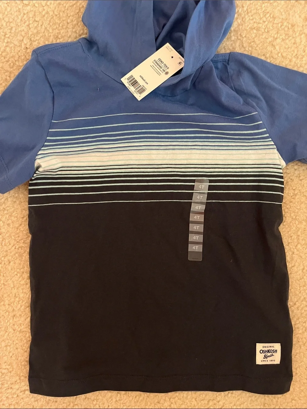 OshKosh B'gosh Blue Hooded Stripe Tee with Black Shorts
